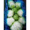 Round Fresh Iceberg Lettuce Fresh Lettuce with Gap Certificate Supplier From China